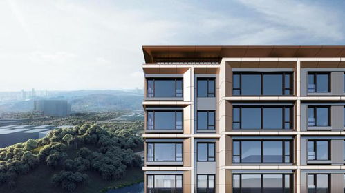 興城之星 純粹改善高奢大宅 回應時代的選擇