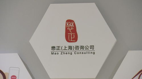 從公職到創(chuàng)業(yè) 崇明青年的無邊風(fēng)景與技術(shù)咨詢夢